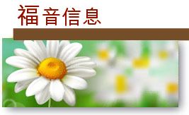 WhatsApp Image 2025 09 10 at 11.40.10